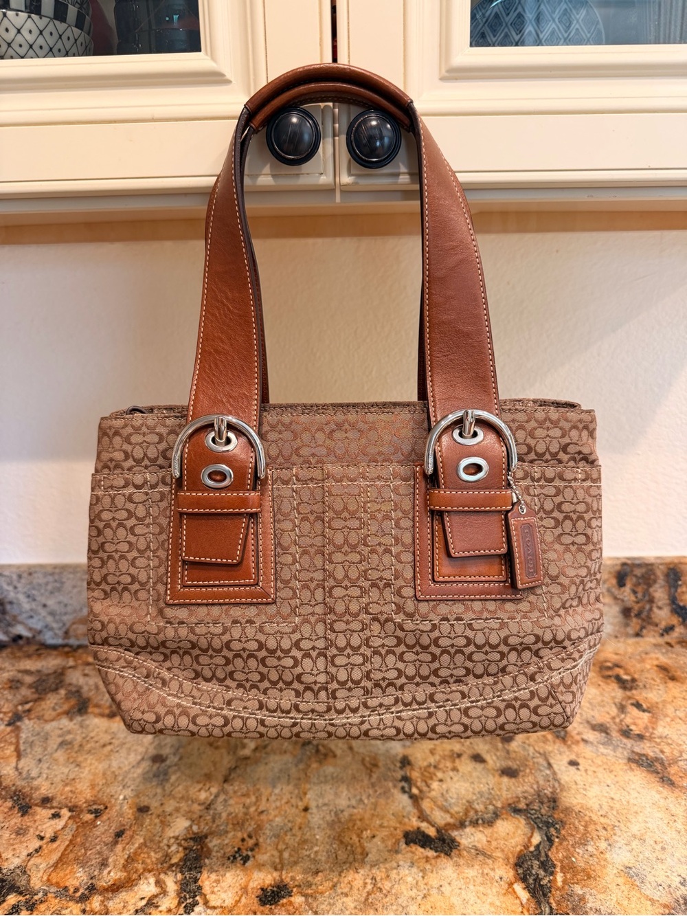 Coach Signature Canvas Mini C Small Tote